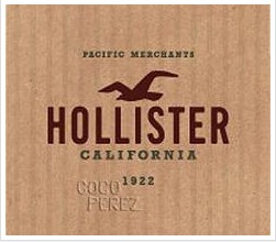 Take Pleasure in Dynamic Clothing with Hollister Coupons