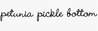 Petunia Pickle Bottom Coupon Codes & Deals April 2024